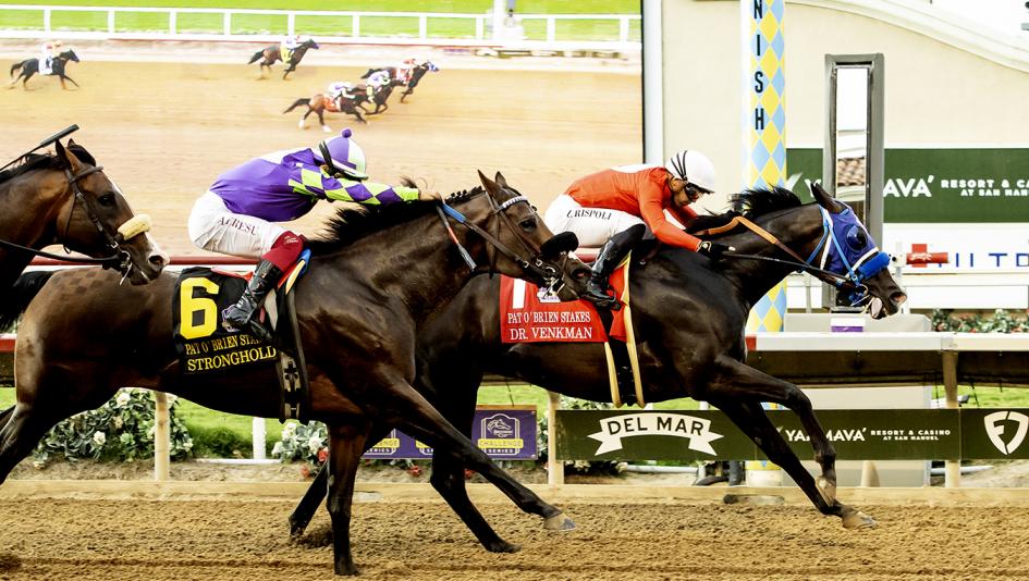 Dr. Venkman, Del Mar, 2025 Pat OBrien Stakes, Breeders Cup Dirt Mile.